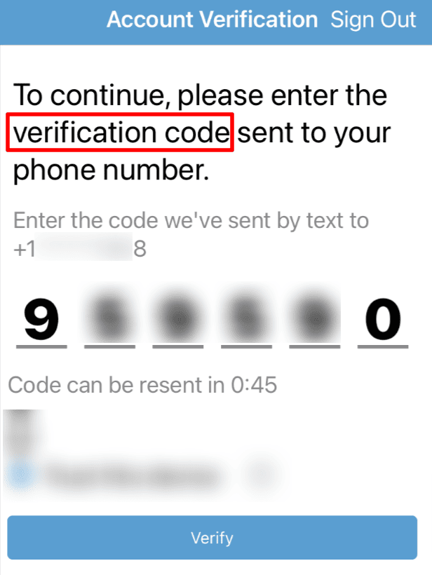 Blink verification code