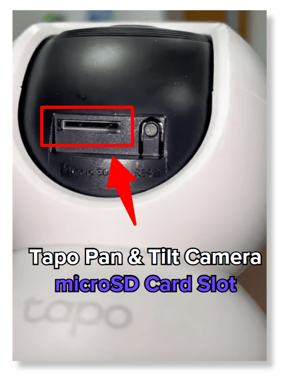 Tapo Pan and Tilt Camera SD card slot location